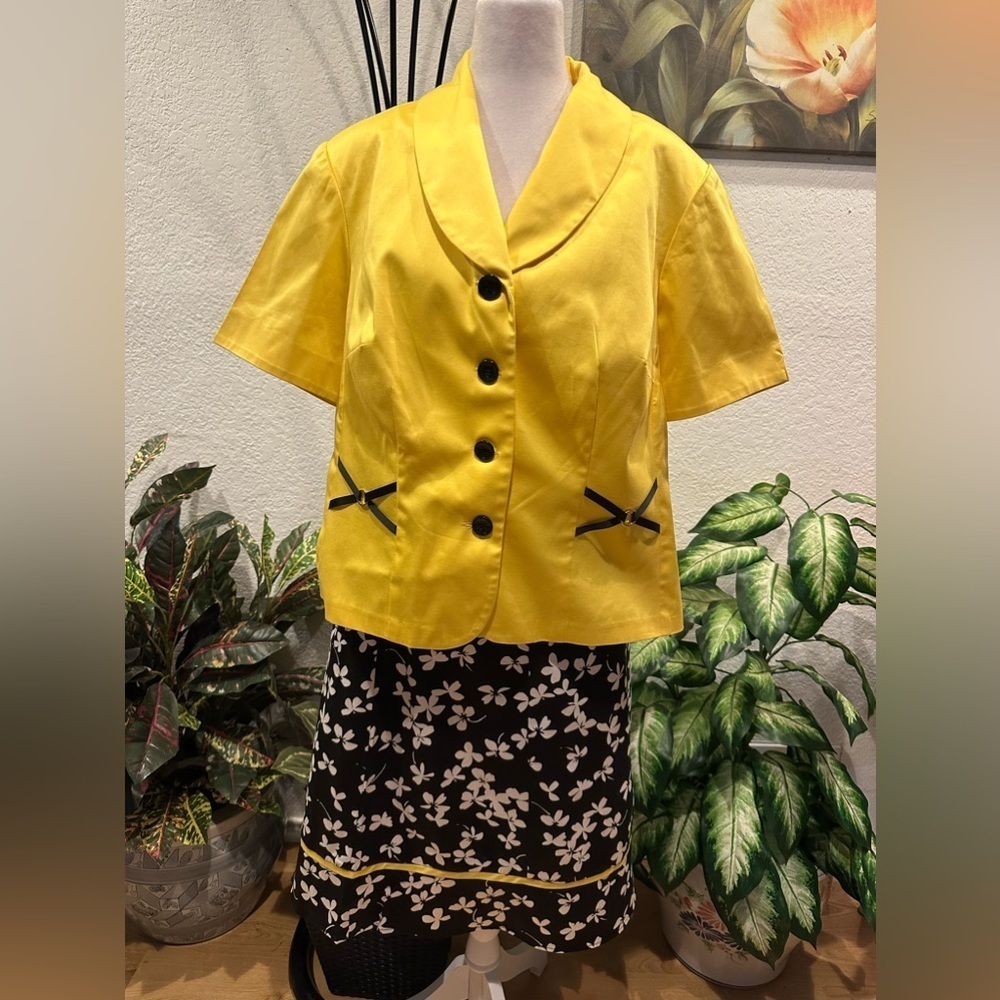 Perceptions woman skirt sets size 16W